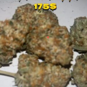 dawg strains uk​
